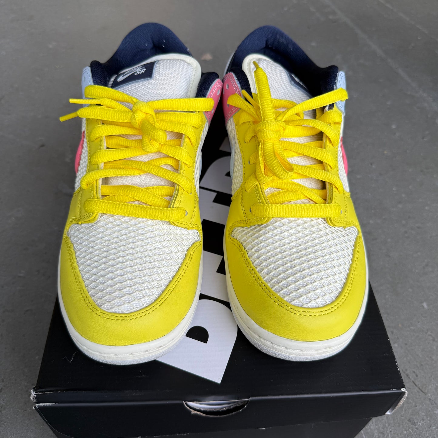 Nike SB Dunk Low Pro Be True Xavier Schipani *pre-owned* (SIZE 10.5)