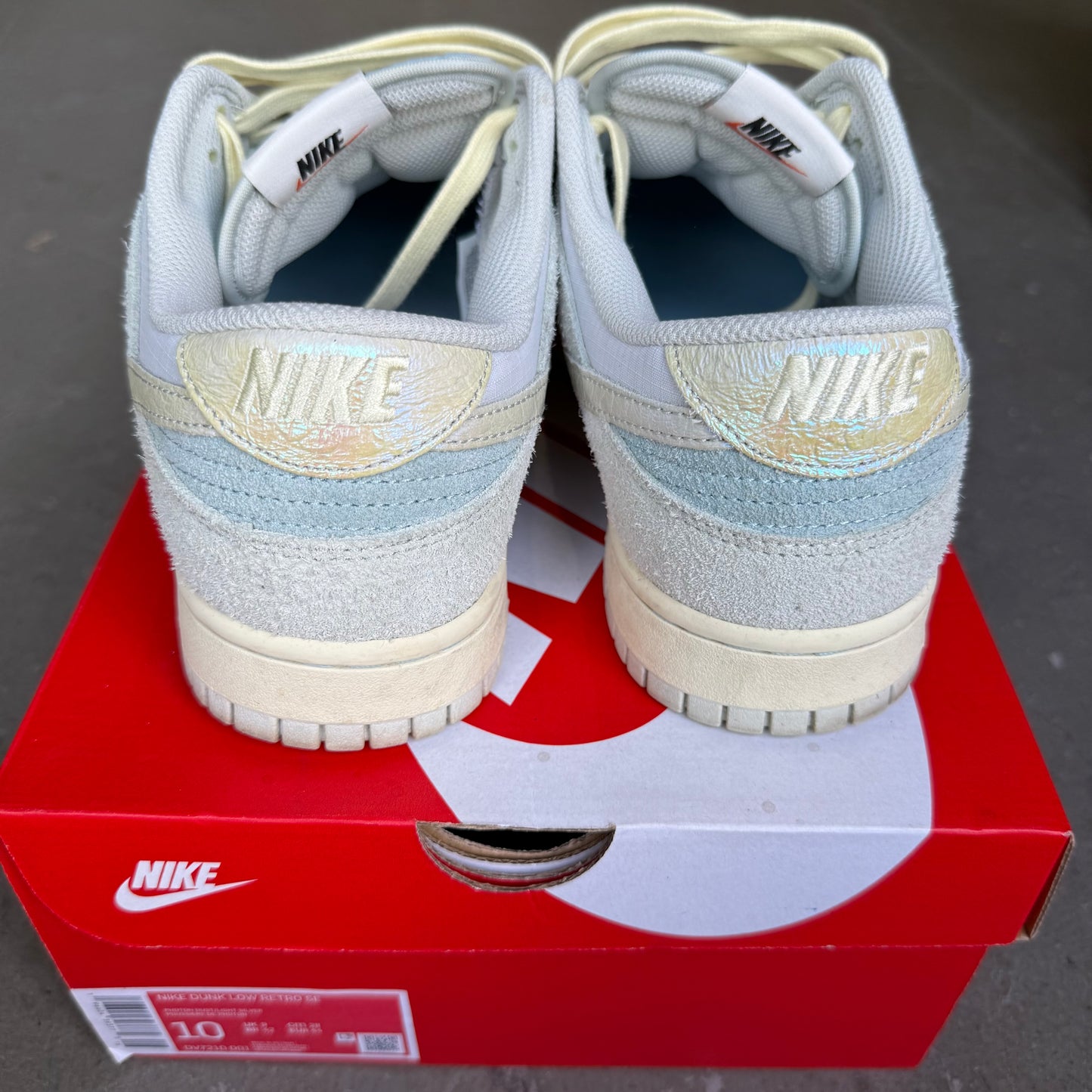 Nike Dunk Low SE Gone Fishing Chinook Salmon *pre-owned* (SIZE 10)