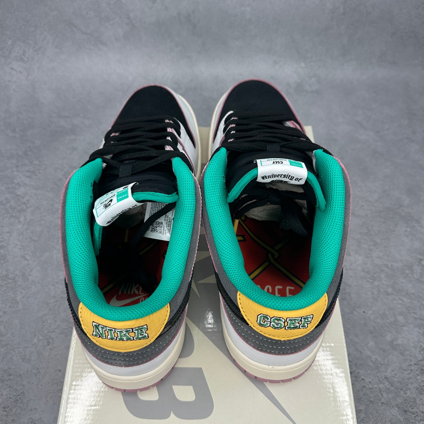 Nike SB Dunk Low CSEF