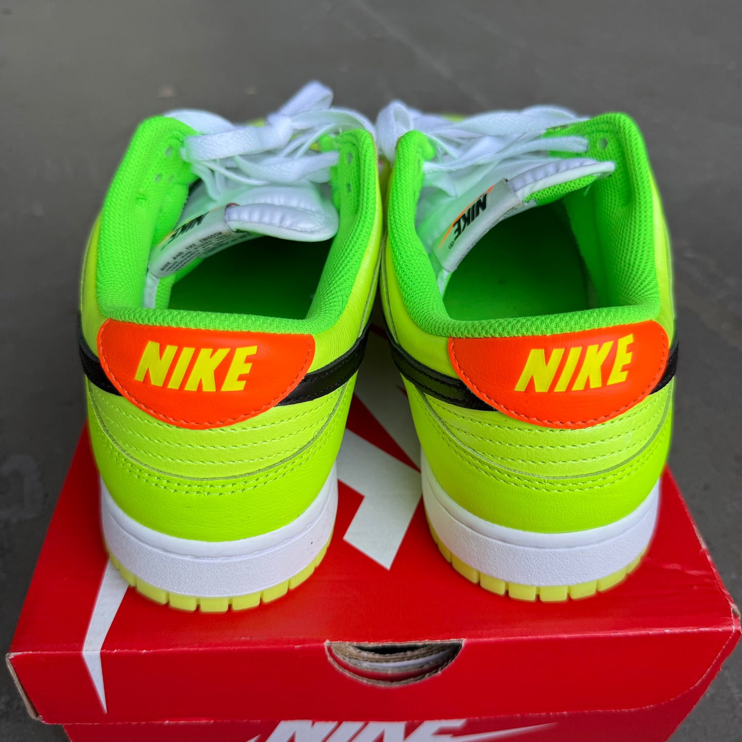 Nike Dunk Low SE Splash Volt *pre-owned* (SIZE 11)