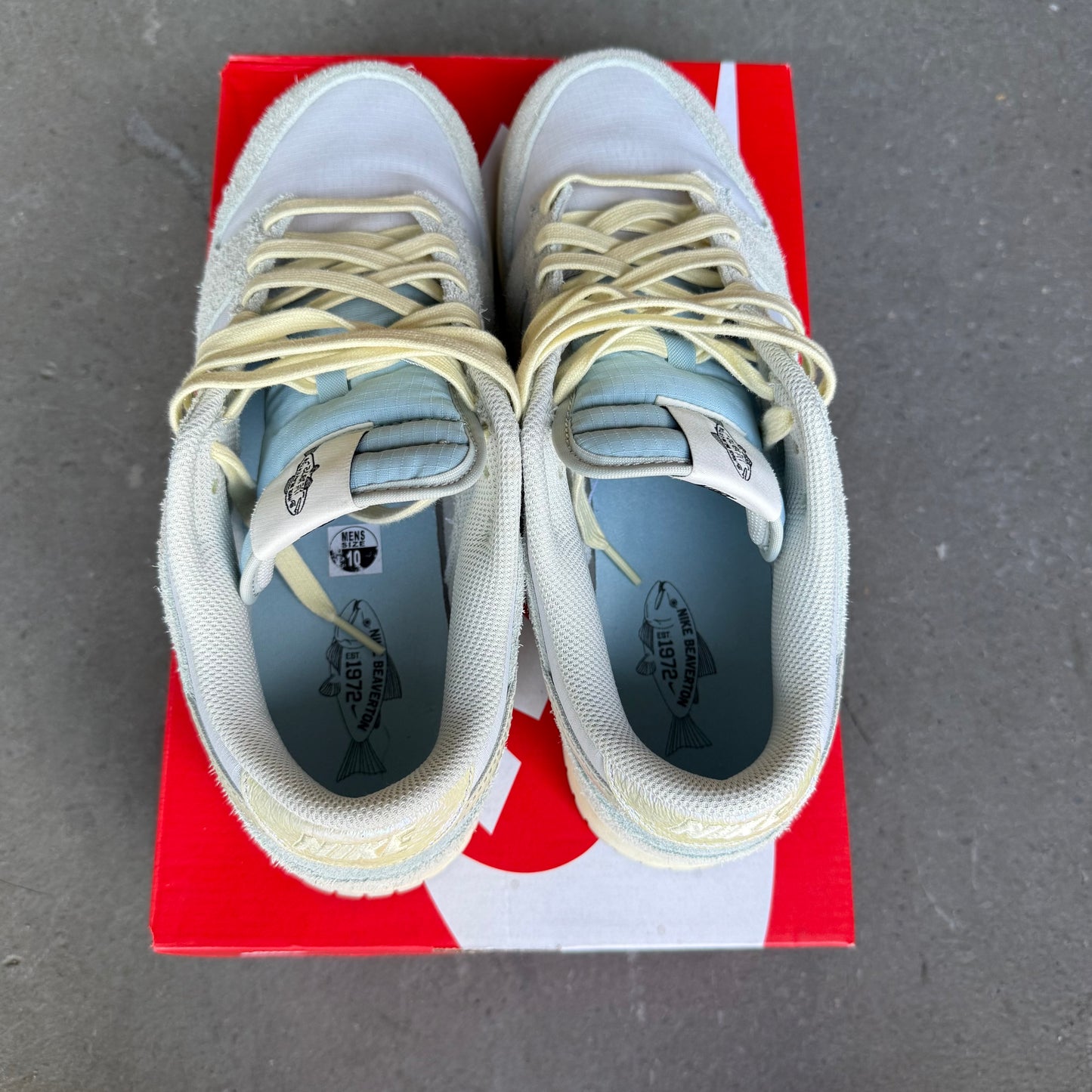 Nike Dunk Low SE Gone Fishing Chinook Salmon *pre-owned* (SIZE 10)