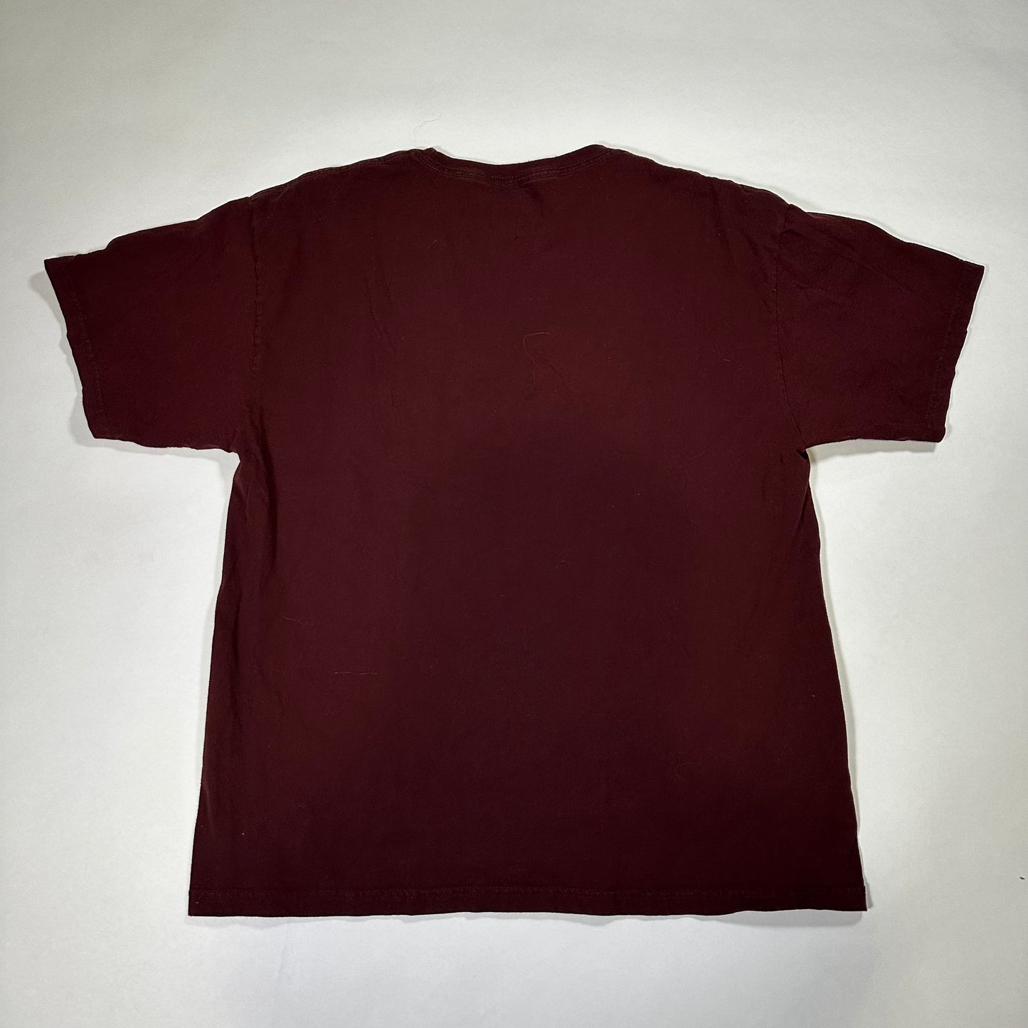 Champion Alvernia Athletics Burgundy T-Shirt *pre-owned*