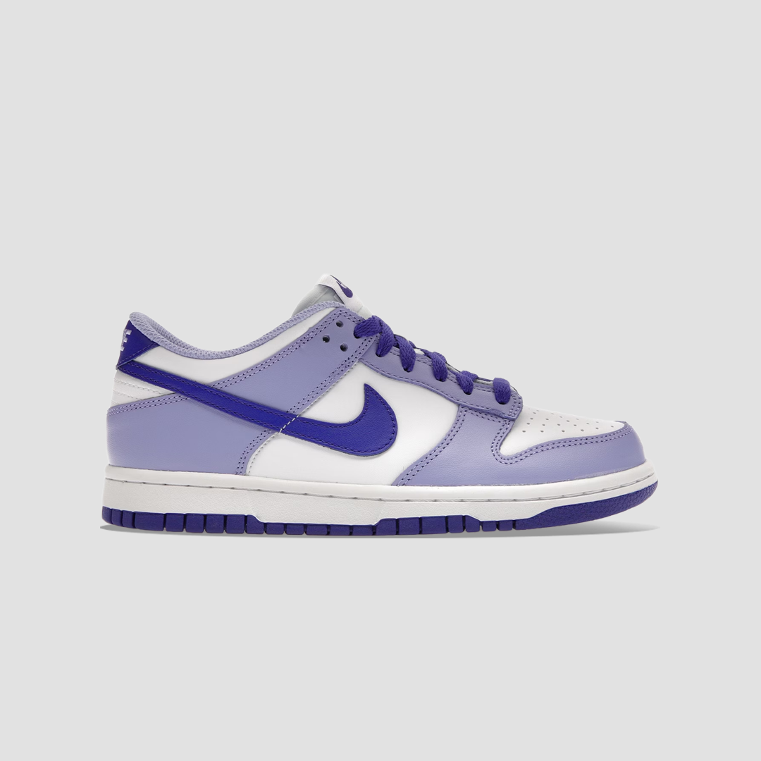 Nike Dunk Low Blueberry (GS)