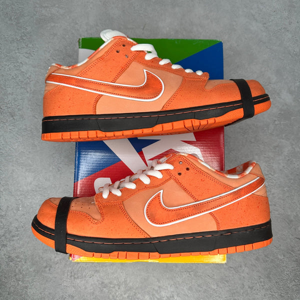 Nike SB Dunk Low Concepts Orange Lobster *pre - owned* SIZE 13 - Kicks Collective PA - Nike - FD8776-800 - Men's Shoes - 13M/14.5W - Pre - Owned