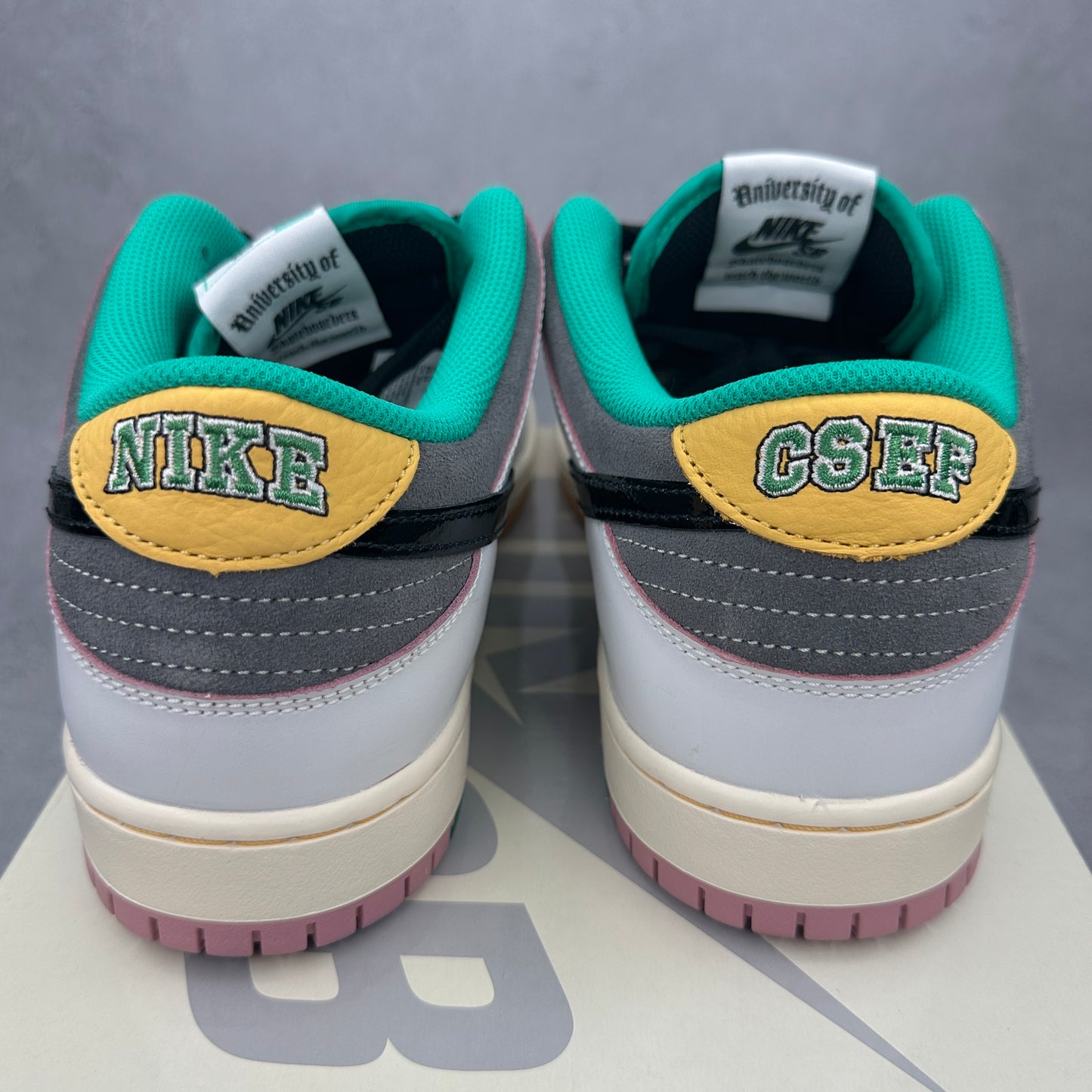 Nike SB Dunk Low CSEF