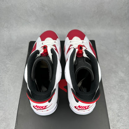 Jordan 6 Retro Carmine (2021)