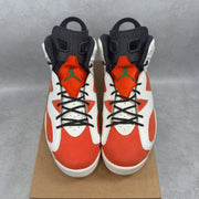 Jordan 6 Retro Gatorade Like Mike White 10 (Pre-Owned) - tag