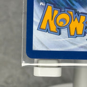 Turtwig - 040 - ME: Mega Evolution Promo (MEP) - Kicks Collective PA - POKEMON - POKEMON SINGLES - Accessories - OS - Brand New - No Box