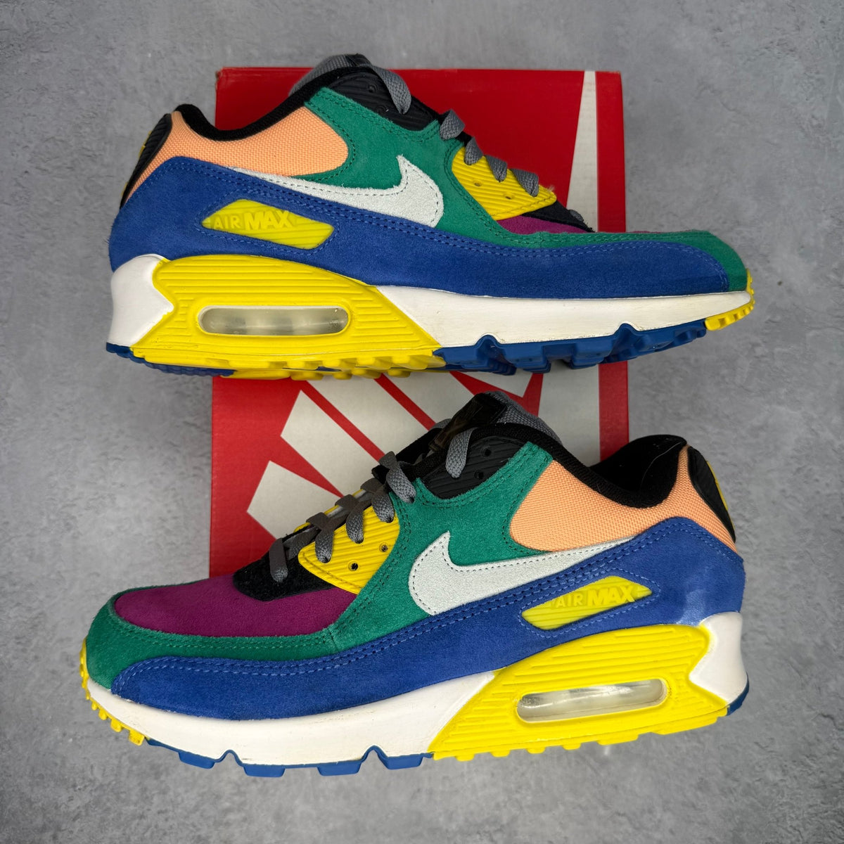 Nike Air Max 90 Viotech *pre-owned* SIZE 8.5