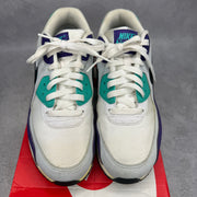 Nike Air Max 90 Grape *pre-owned* SIZE 8.5