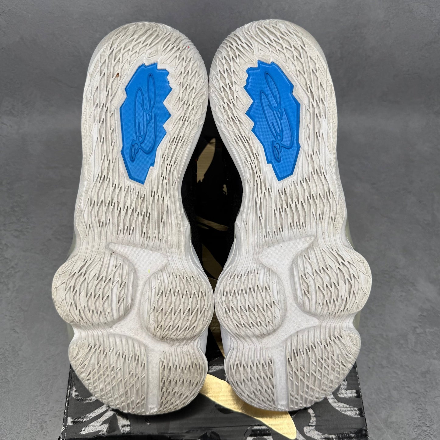 Nike LeBron 17 James Gang *pre-owned* SIZE 10