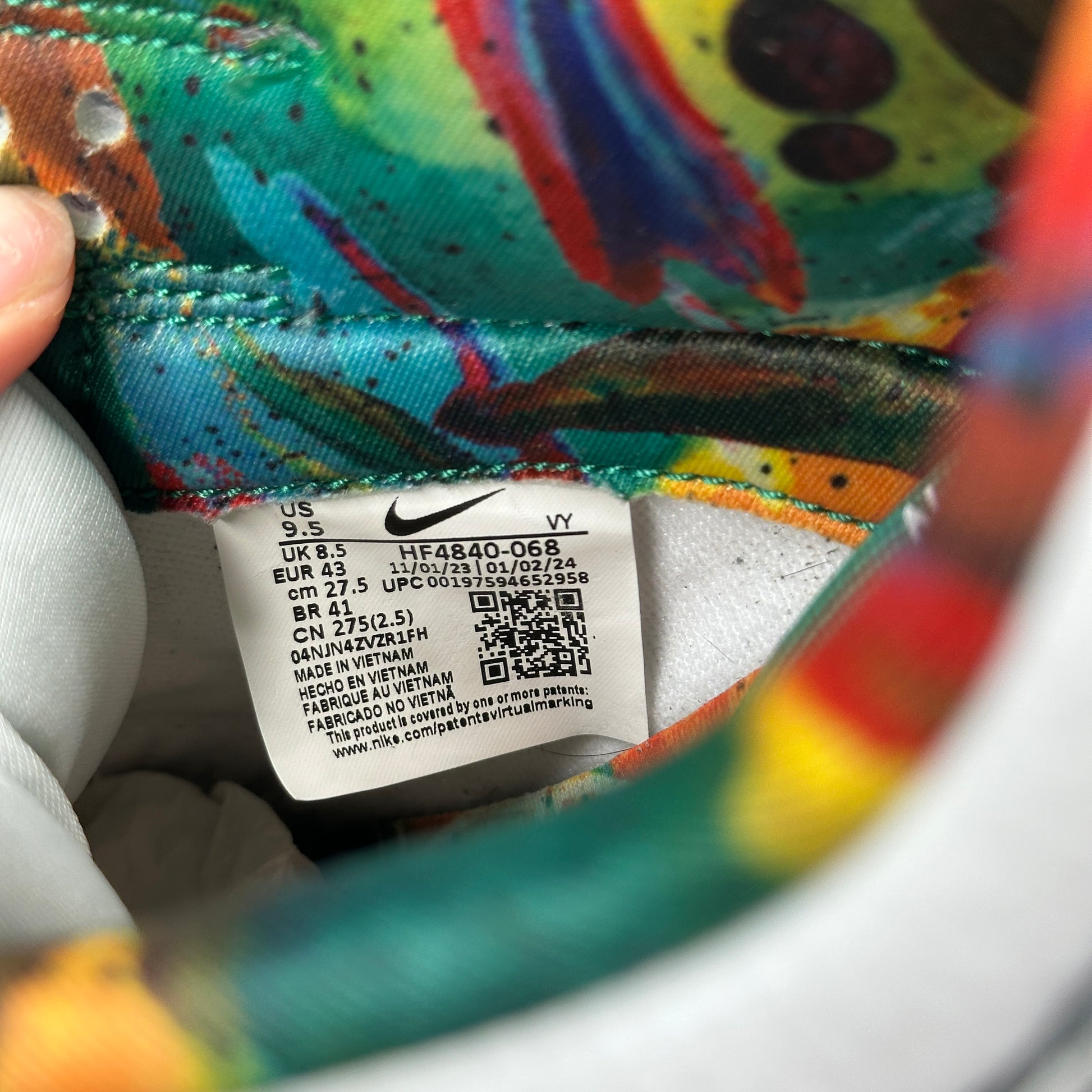 Nike Dunk Low Retro Premium Philly