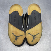 Jordan 5 Retro Moonlight (2021) *pre-owned* SIZE 9