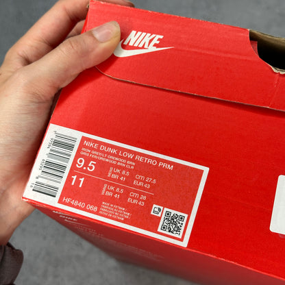 Nike Dunk Low Retro Premium Philly