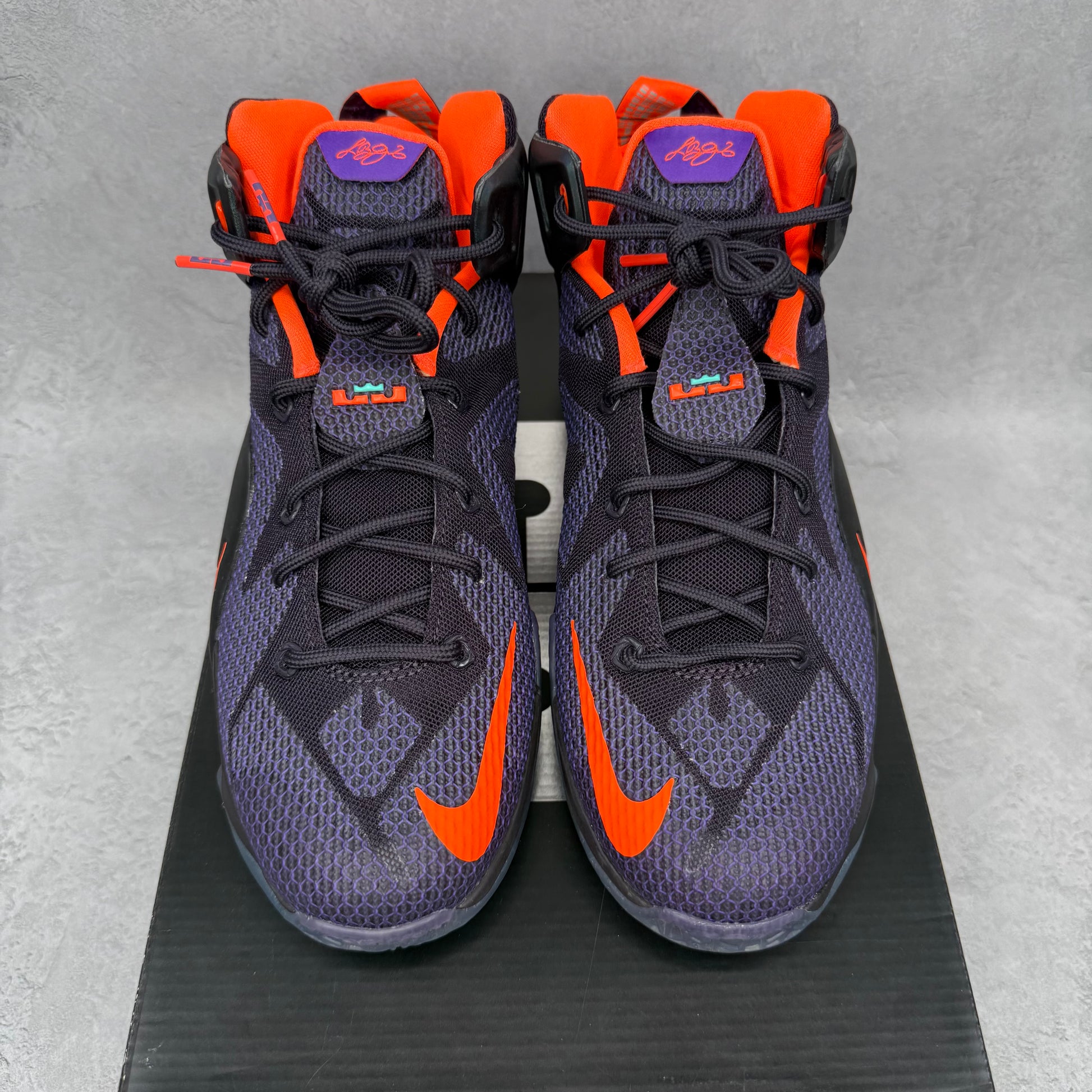 Nike LeBron 12 Instinct (GS)