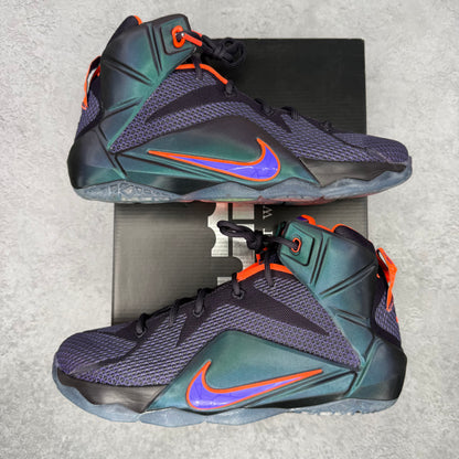 Nike LeBron 12 Instinct (GS)