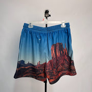 Common Hype PHoenix Landscape Mesh Shorts - Kicks Collective PA - Common Hype - CH - Apparel - XL - Pre-Owned - No Box