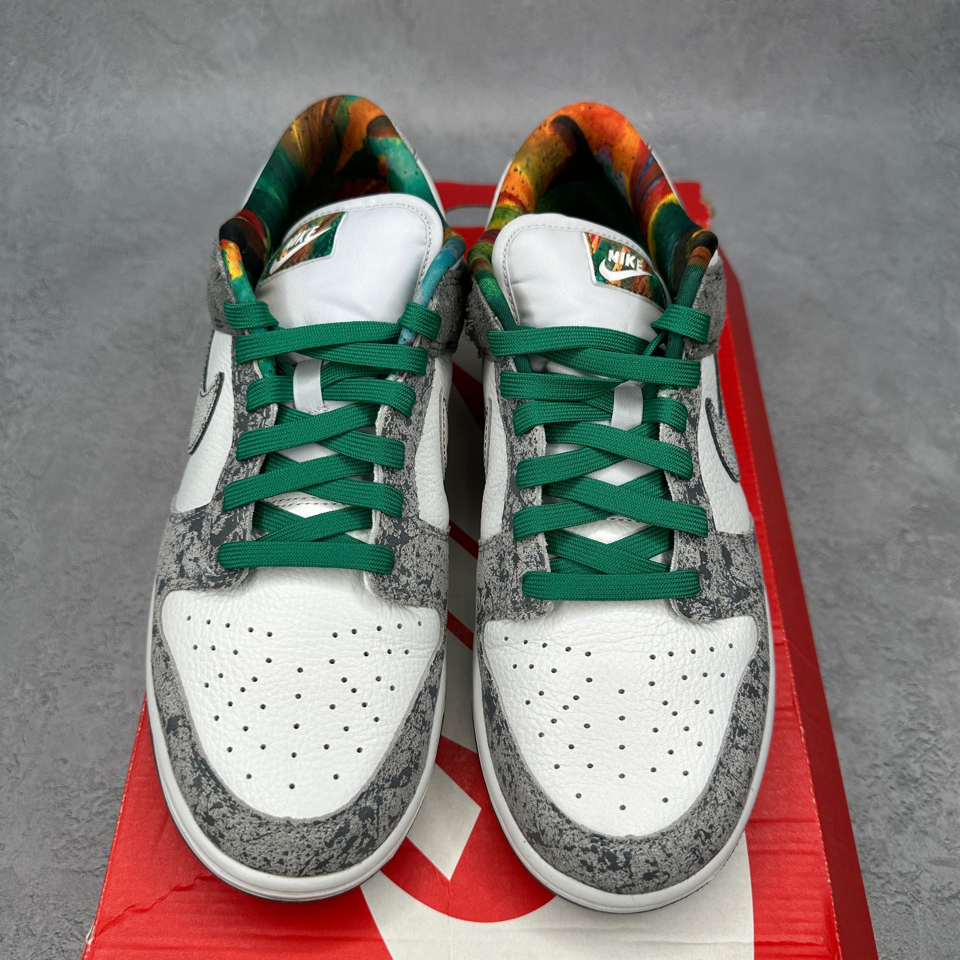 Nike Dunk Low Retro Premium Philly
