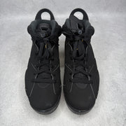 Jordan 6 Retro DMP (2020) *pre-owned* SIZE 8
