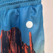 Common Hype PHoenix Landscape Mesh Shorts - Kicks Collective PA - Common Hype - CH - Apparel - XL - Pre-Owned - No Box