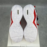 Nike leBron Soldier XIV 14 Player Exclusive 11.5 (New) - aux