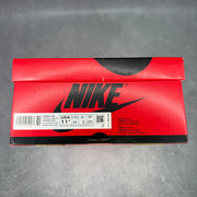 Jordan 1 Retro High Silver Toe (Women's) *pre-owned* SIZE 10