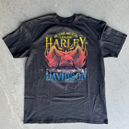 Vintage Harley Davidson Tee Gradient Color Fade *pre-owned* (size Large)