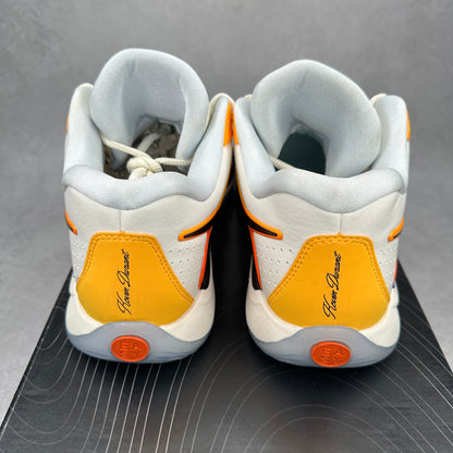 Nike KD 17 Sunrise *pre-owned* SIZE 10