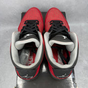 Jordan 3 Retro Doernbecher (2010) *pre-owned* SIZE 15