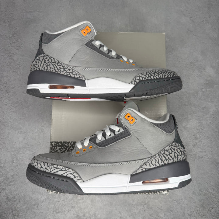 Jordan 3 Retro Cool Grey (2021) *pre-owned*