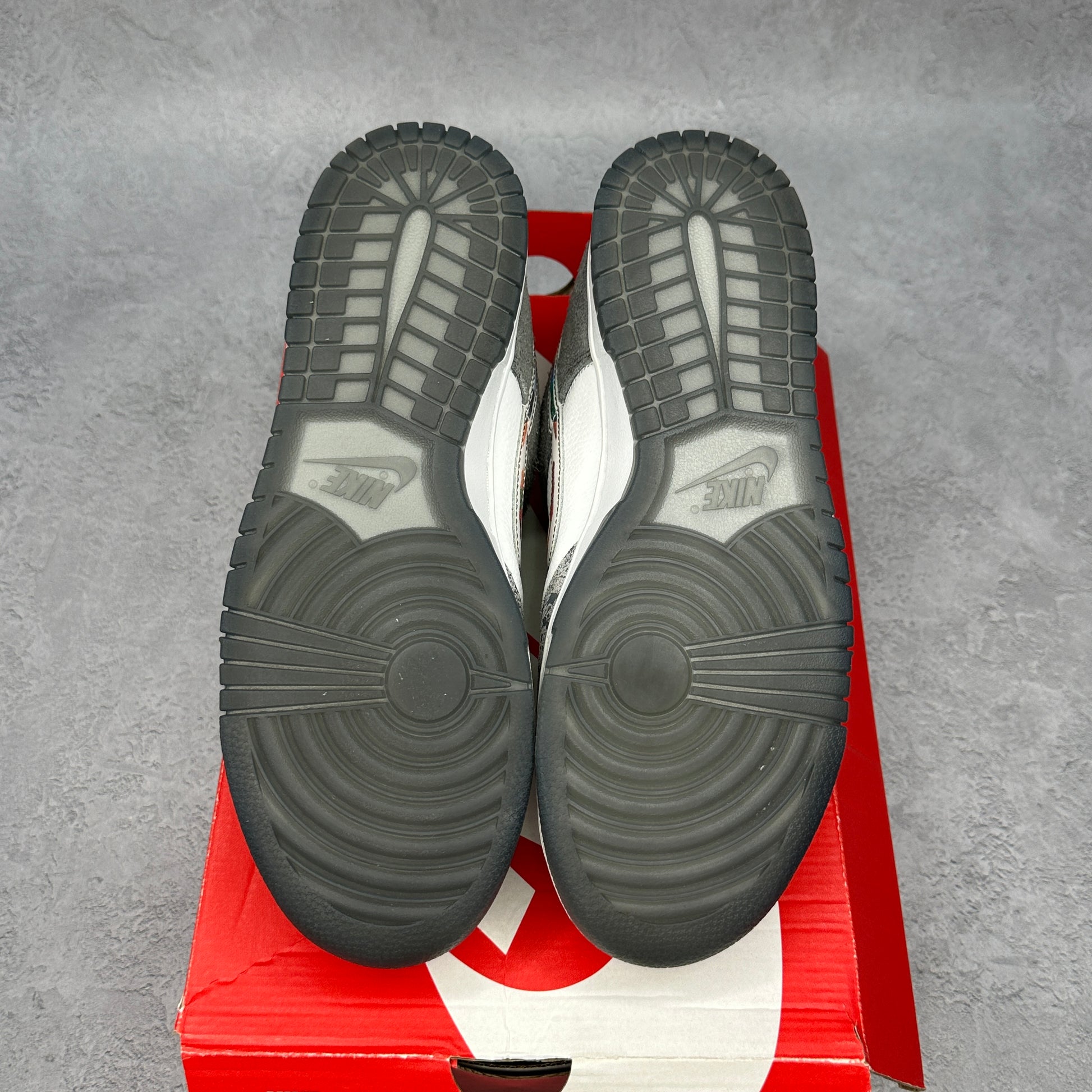 Nike Dunk Low Retro Premium Philly