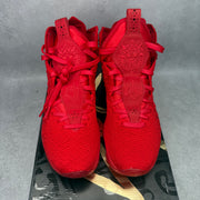 Nike LeBron 17 Red Carpet *pre-owned* SIZE 9