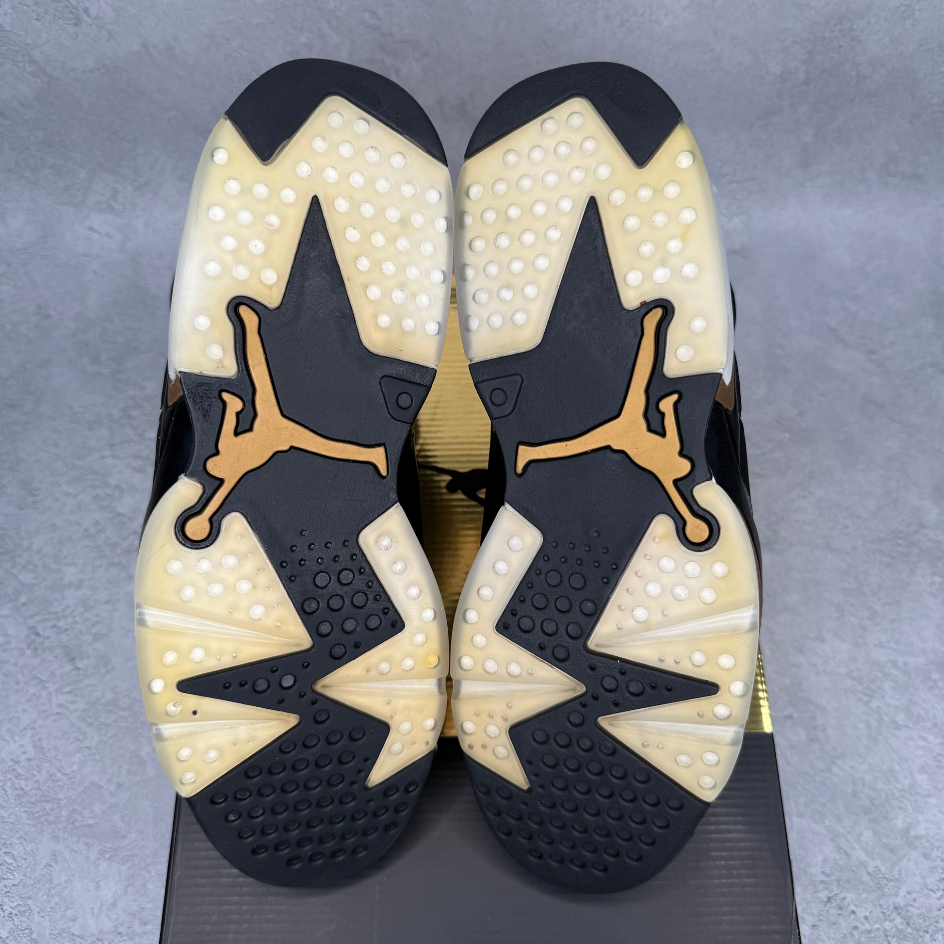 Jordan 6 Retro DMP (2020) *pre-owned* SIZE 10.5