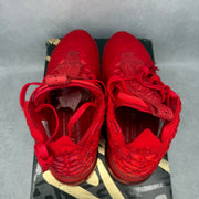 Nike LeBron 17 Red Carpet *pre-owned* SIZE 9