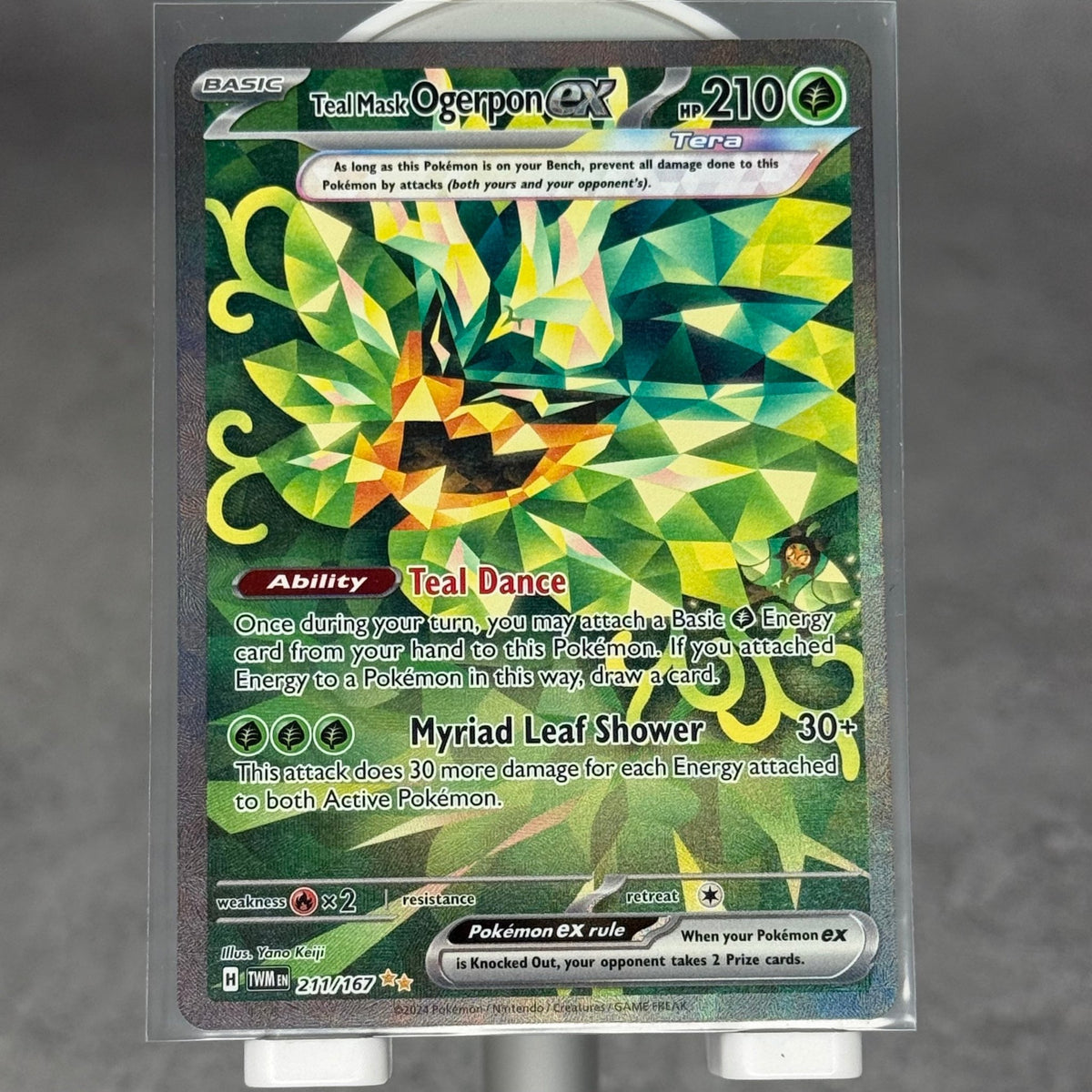 Teal Mask Ogerpon ex - 211/167 - SV06: Twilight Masquerade (TWM) - Kicks Collective PA - POKEMON - POKEMON SINGLES - Accessories - OS - Brand New - No Box