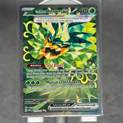 Teal Mask Ogerpon ex - 211/167 - SV06: Twilight Masquerade (TWM) - Kicks Collective PA - POKEMON - POKEMON SINGLES - Accessories - OS - Brand New - No Box