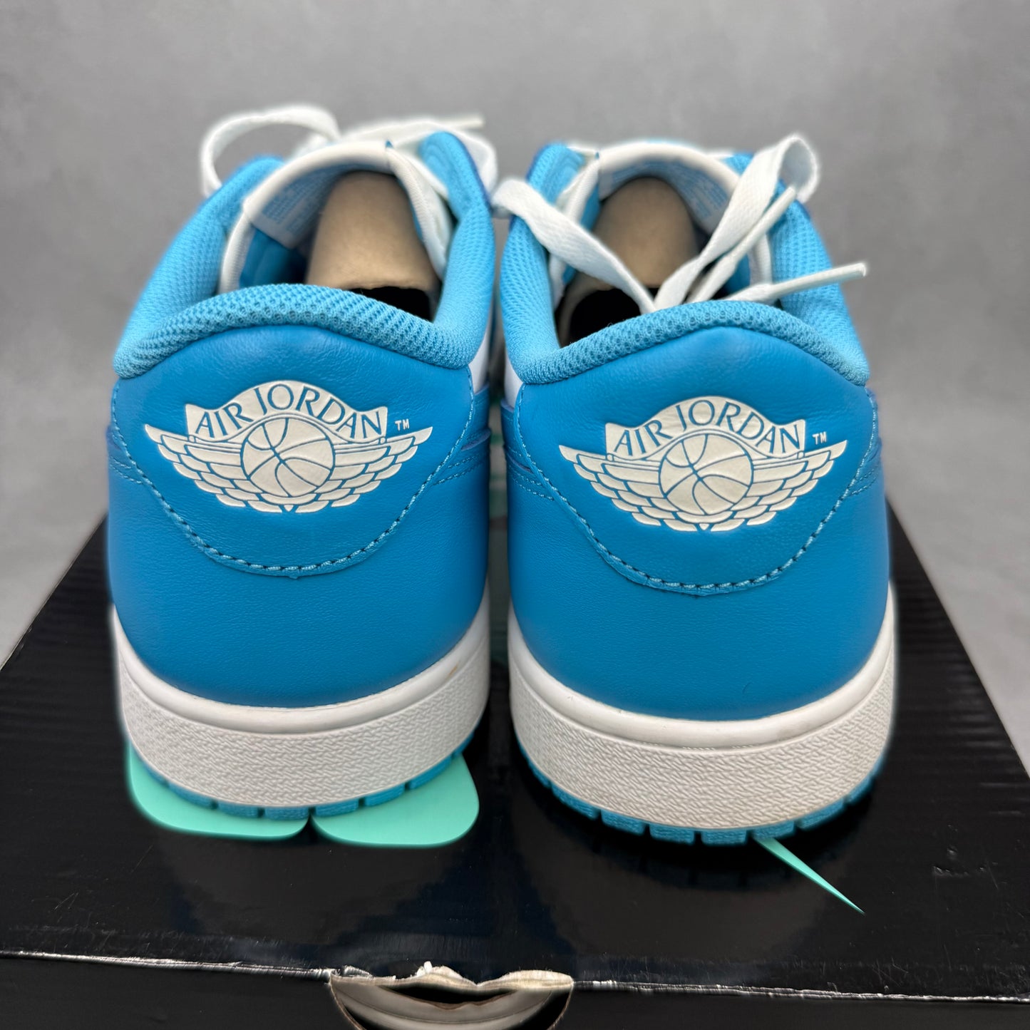 Jordan 1 Low SB UNC *pre-owned* SIZE 10.5