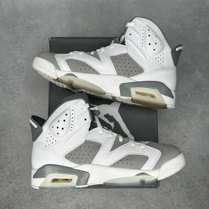 Jordan 6 Retro Cool Grey *pre-owned* SIZE 10.5