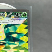 Teal Mask Ogerpon ex - 211/167 - SV06: Twilight Masquerade (TWM) - Kicks Collective PA - POKEMON - POKEMON SINGLES - Accessories - OS - Brand New - No Box