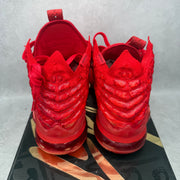 Nike LeBron 17 Red Carpet *pre-owned* SIZE 9
