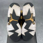Jordan 6 Retro DMP (2020) *pre-owned* SIZE 9.5