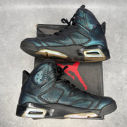 Jordan 6 Retro All-Star Chameleon *pre-owned* SIZE 11.5 (2017)