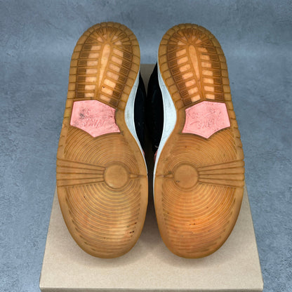 Nike SB Dunk Low Premier Fish Ladder *pre - owned* SIZE 9.5 - Kicks Collective PA - Nike - 313170-603 - Men's Shoes - 9.5M/11W - Pre - Owned - No Box