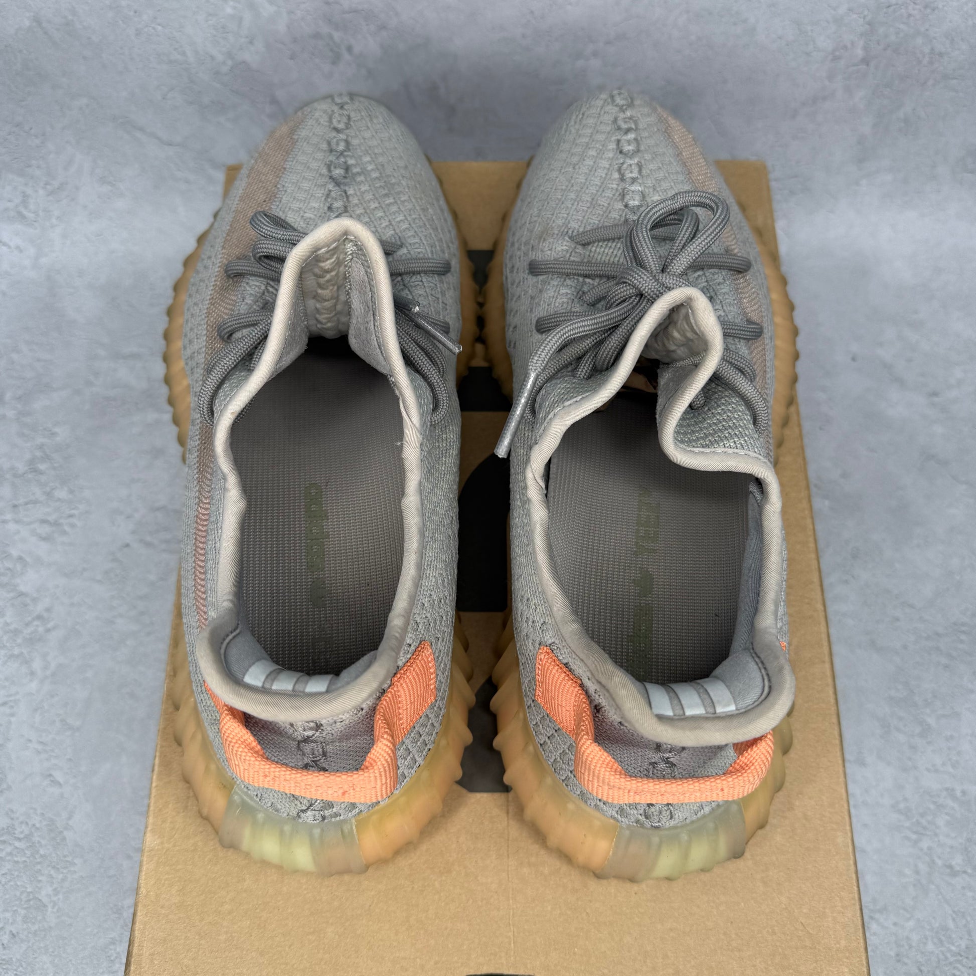 adidas Yeezy Boost 350 V2 True Form *pre-owned* SIZE 9.5