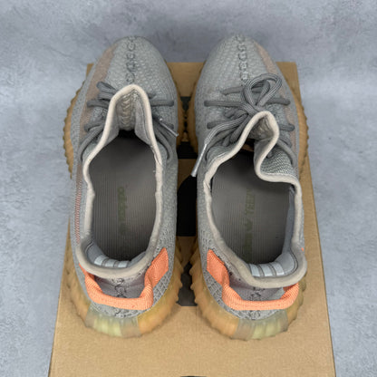 adidas Yeezy Boost 350 V2 True Form *pre-owned* SIZE 9.5