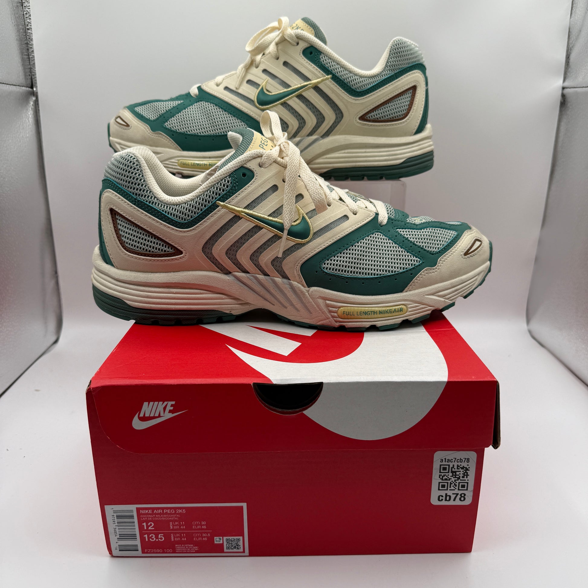 Nike Air Peg 2K5 Bicoastal Outside of Shoe