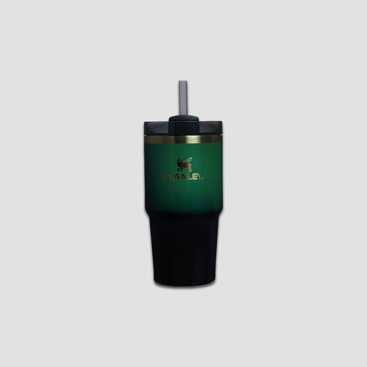 Stanley x Target x Wicked Flowstate Quencher 20oz Tumbler Green Elphaba