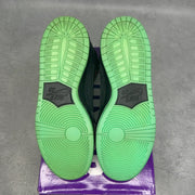 Nike SB Dunk High Premier Northern Lights 11 (Pre-Owned) - aux