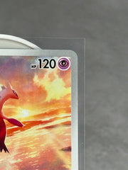 Latios 203/191 - SV08: Surging Sparks (SSP) - Kicks Collective PA - POKEMON - POKEMON SINGLES - Accessories - OS - Brand New - No Box
