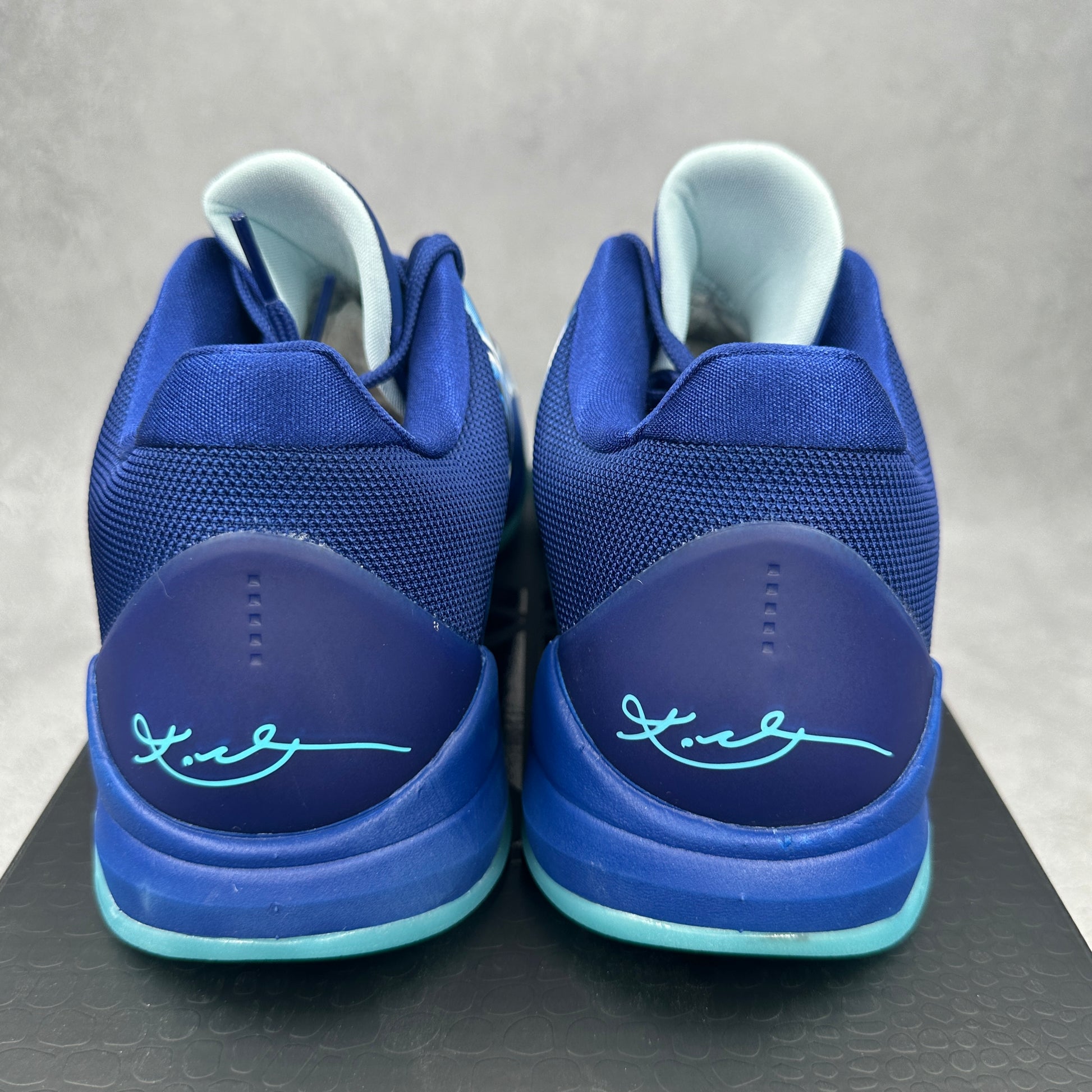 Nike Kobe 5 Protro X-Ray